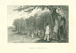 Постер Rook Shooting