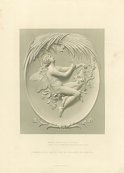 Ariel