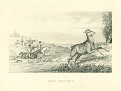 Постер Stag Hunting 1