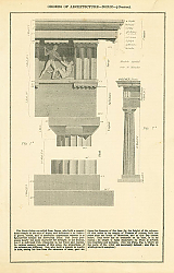 Постер Orders of Architecture - Doric - (Grecian) Постер Orders of Architecture - Doric - (Grecian)