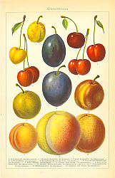 Постер Gtetnobftforten 1