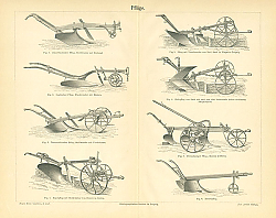 Постер Pfluge 1