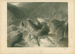 Постер The Death of the Stag