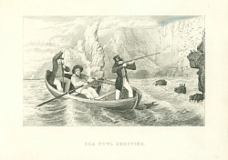 Постер Sea Fowl Shooting 1