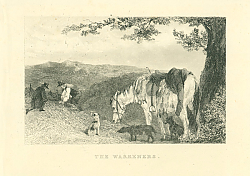 Постер The Warreners 1