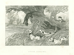 Постер Otter Hunting 4