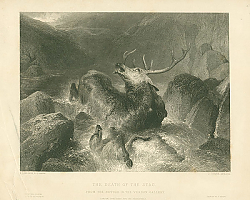 Постер The Death of the Stag 1
