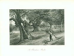 Постер At Burnham Beeches 2