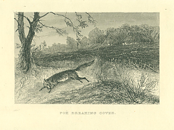 Постер Fox Breaking Cover