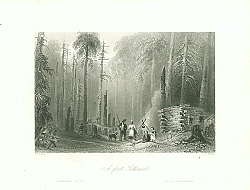 Постер A First Settlement