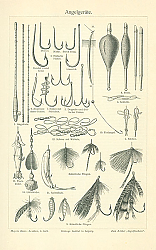 Постер Angelgerate