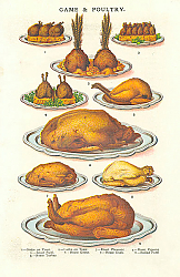 Постер Game & Poultry