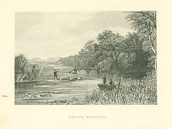 Постер Trout Fishing