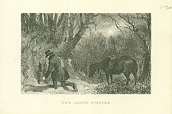 Постер The Earth Stopper 5