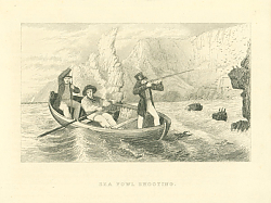 Постер Sea Fowl Shooting