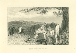 Постер The Warreners