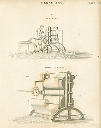 Постер Bleaching I