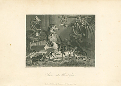 Постер Scene at Abbotsford