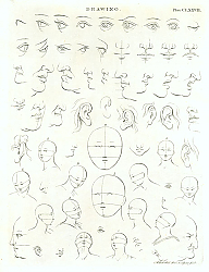 Постер Drawing