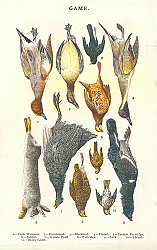 Постер Game №4