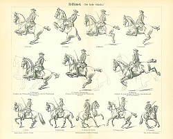 Постер Искусство верховой езды