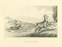 Постер Stag Hunting