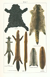 Постер Belze I