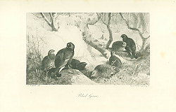 Постер Black Game 1