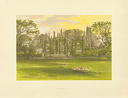 Постер Singleton