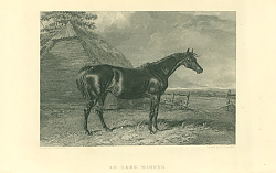 Постер An Oaks Winner