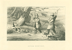 Постер Otter Hunting