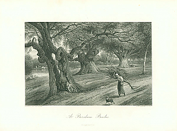 Постер At Burnham Beeches 1