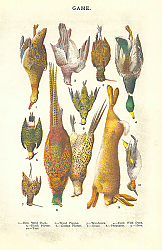 Постер Game №1