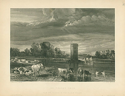 Постер De Tabley Park 1