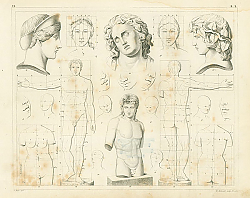 Постер Iconographic Encyclopedia: пропорции тела и лица человека 1 Постер Iconographic Encyclopedia: пропорции тела и лица человека 1