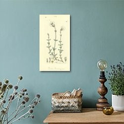 «Sowerby Ботаника №19» в интерьере комнаты со старинной лампой