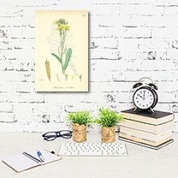 «Brassica Oleracea. Sea Cabbage.» в интерьере офиса с кирпичными стенами