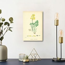 «Corydalis Lutea. Yellow Fumitory.» в интерьере комнаты с золотыми деталями