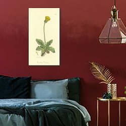 «Sowerby Ботаника №24» в интерьере красной спальни