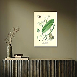 «Cape Pond-Weed (Aponogeton Distachyum) 1» в интерьере над комодом «Cape Pond-Weed (Aponogeton Distachyum) 1» в интерьере над комодом