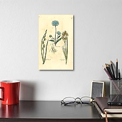 «Devils bit, Red Darnel, Long Cyperus 1» в интерьере комнаты с белым резным комодом «Devils bit, Red Darnel, Long Cyperus 1» в интерьере комнаты с белым резным комодом