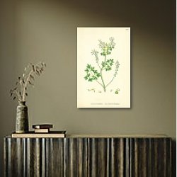 «Fumaria Pallidiflora. Pale flowered Fumitory» в интерьере офиса в белом цвете «Fumaria Pallidiflora. Pale flowered Fumitory» в интерьере офиса в белом цвете