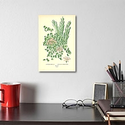 «Sedum Sieboldii, Sedum Sarmentosum 1» в интерьере изумрудной комнаты «Sedum Sieboldii, Sedum Sarmentosum 1» в интерьере изумрудной комнаты