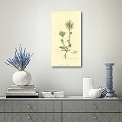 «Sowerby Ботаника №4» в интерьере над комодом