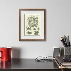 «Casalpinia Brasiliensis or Brasil wood Tree» в интерьере бирюзовой комнаты «Casalpinia Brasiliensis or Brasil wood Tree» в интерьере бирюзовой комнаты