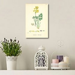 «Corydalis lutea. Yellow Fumitory. 1» в интерьере кабинета с бежевыми стенами «Corydalis lutea. Yellow Fumitory. 1» в интерьере кабинета с бежевыми стенами