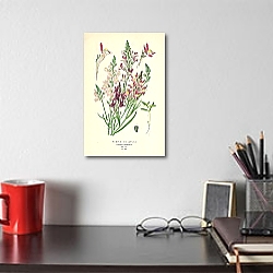 «Purple Toadflax (Linaria Bipartita) 1» в интерьере офиса с кирпичными стенами «Purple Toadflax (Linaria Bipartita) 1» в интерьере офиса с кирпичными стенами
