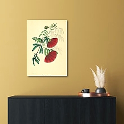 «Inga Pulcheruma» в интерьере в черно-золотом цвете