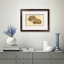 «Eighteen Banded Armadillo, Three Banded» в интерьере над комодом «Eighteen Banded Armadillo, Three Banded» в интерьере над комодом