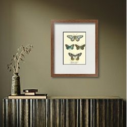 «Dysphania fenestrata, Sangala gloriosa, Milionia basalis, Euschema discalis» в интерьере зеленой спальни «Dysphania fenestrata, Sangala gloriosa, Milionia basalis, Euschema discalis» в интерьере зеленой спальни